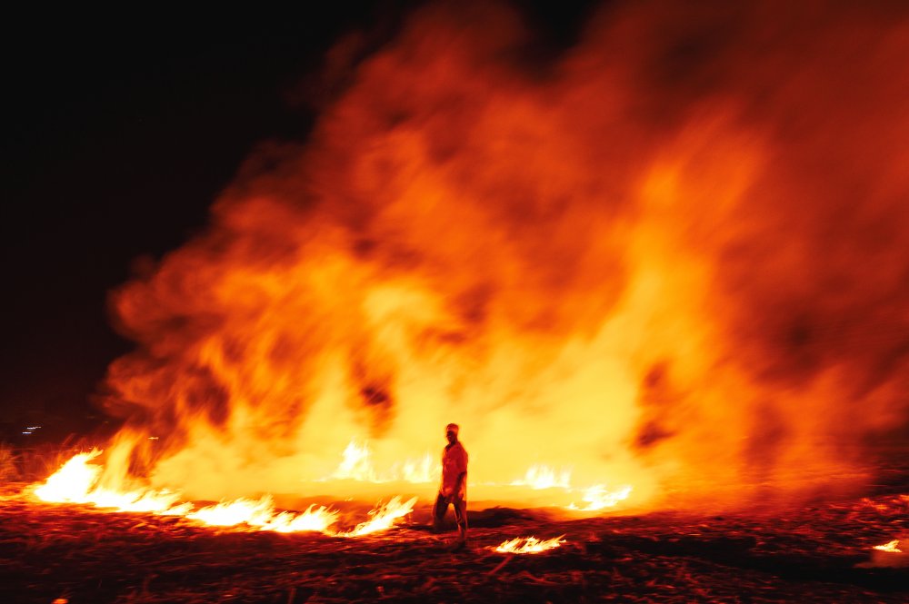 The Final Stage von As Dnyaneshwar Vaidya