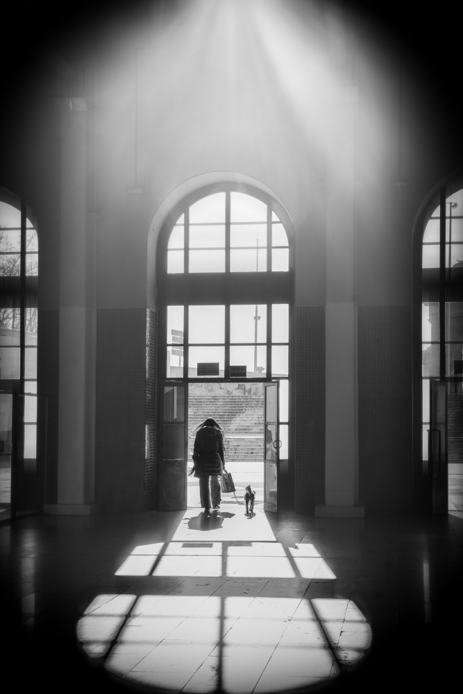 Skylight -Window von Asako Naruto