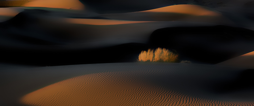 Lines von asef azimaie