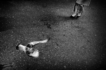 Shibuya Street - TOKYO 2017