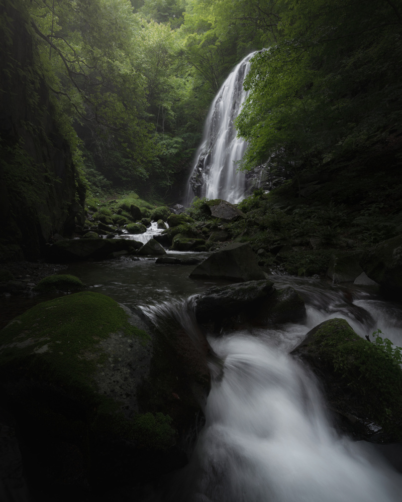 Intensity von Atsushi Kaneko