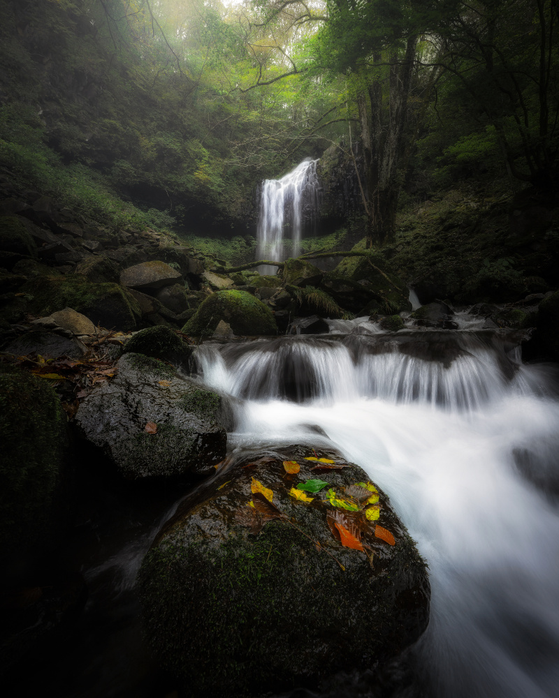 Unexplored place von Atsushi Kaneko