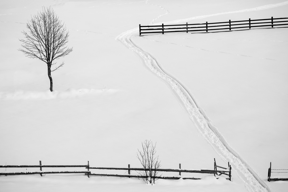 Geometry von Attila Szabo