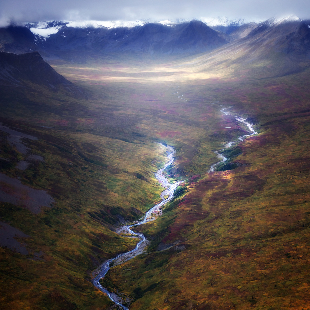 untitledl von Atul Chopra