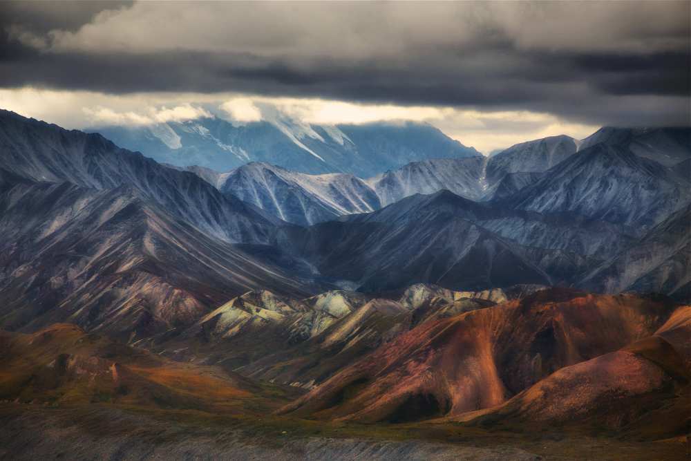 Untitled von Atul Chopra