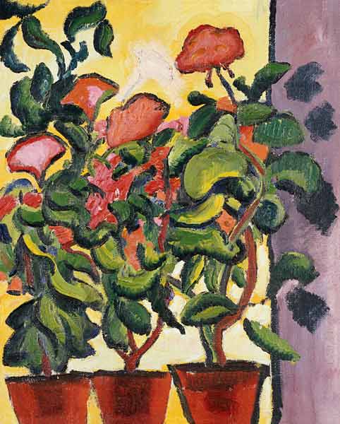 Geranium Am Fenster von August Macke