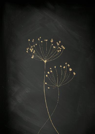 Black Gold Botanical No 2