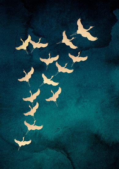 Teal Flying Cranes
