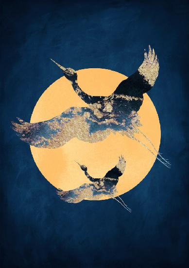 Sapphire Sun &amp; Cranes