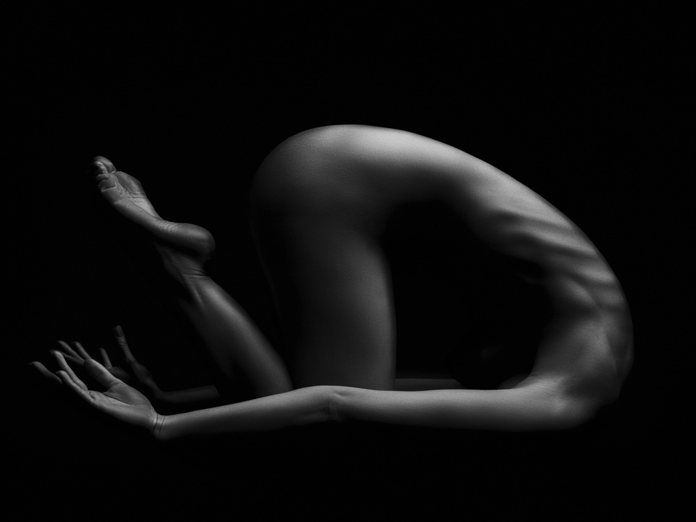 Reverence von AURIMAS VALEVICIUS