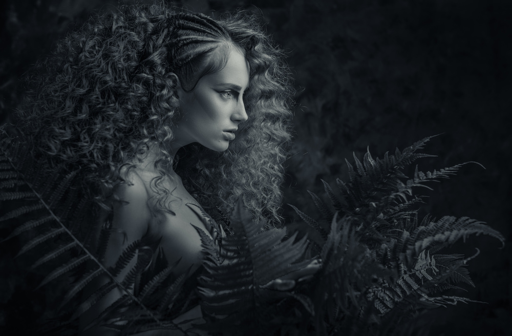 Fern blossom von AURIMAS VALEVICIUS