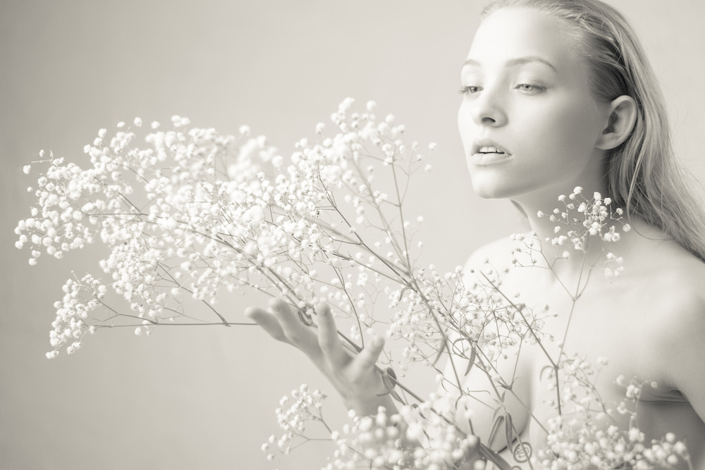 Gypsophila von AURIMAS VALEVICIUS