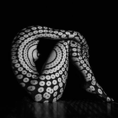 Snail transformation