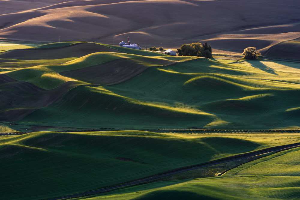 Dream Land #3 von Austin