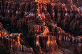 Morning Light on Hoodoos