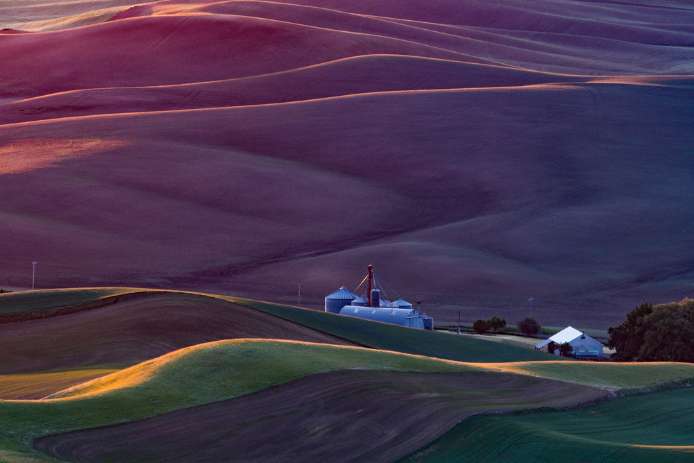 Palouse at Sunrise von 李从军 / Austin Li