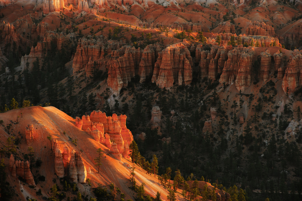 Sunrise at Bryce Canyon von 李从军 / Austin Li