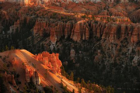 Sunrise at Bryce Canyon
