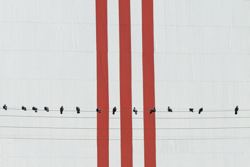 Musical von Avantgarde_Awards