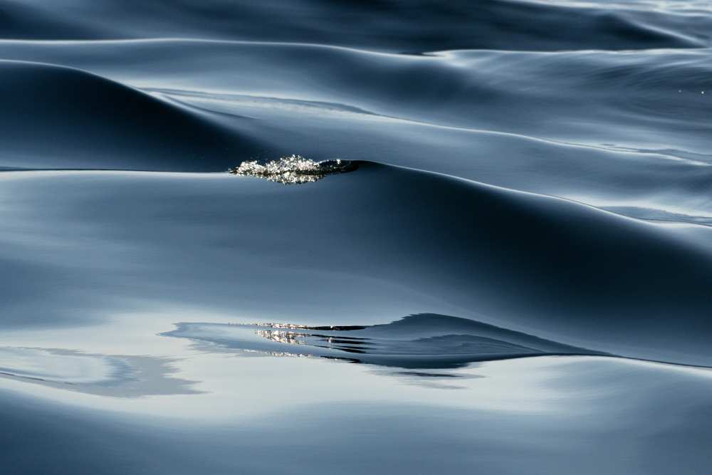 Movement von Avi Hirschfield