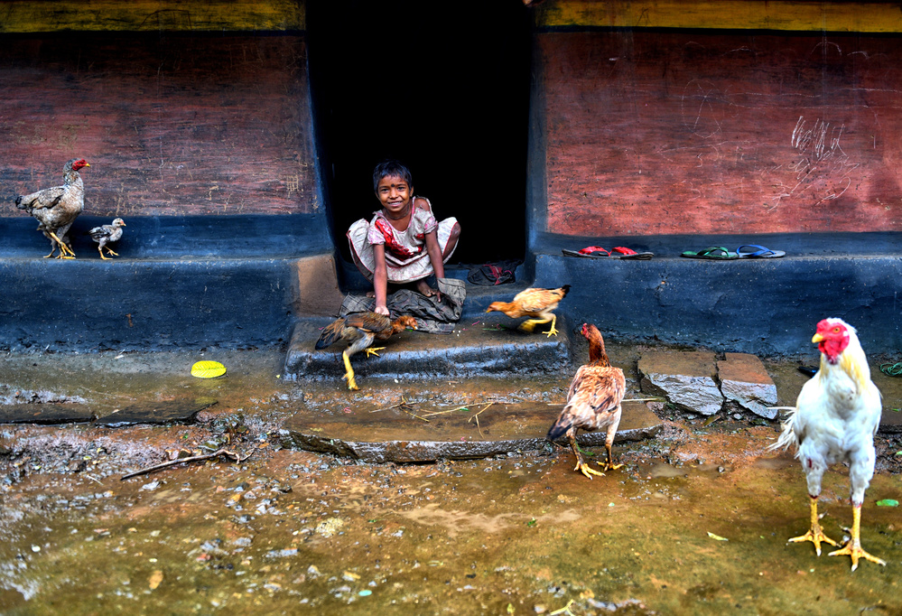 Feeding Time von Avishek Das