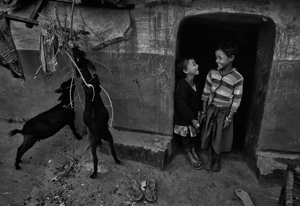 Happiness Together von Avishek Das