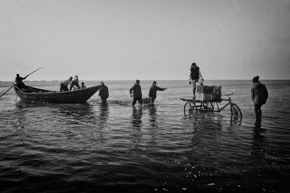 Market Outcome von Avishek Das