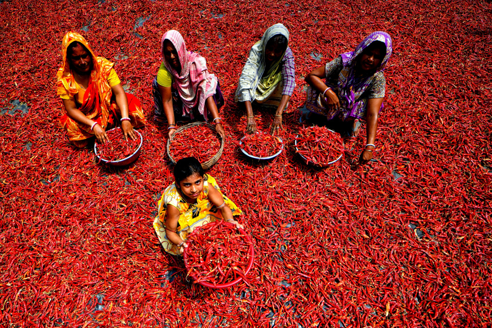 Red Chilli Workers von Avishek Das
