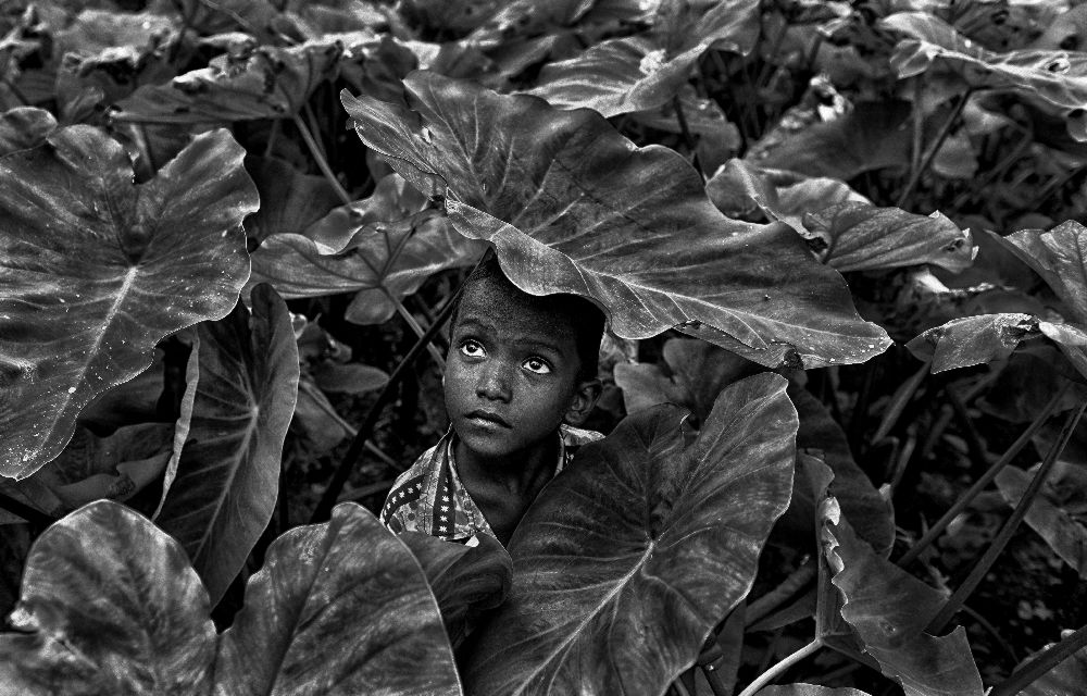 Schutz von Avishek Das