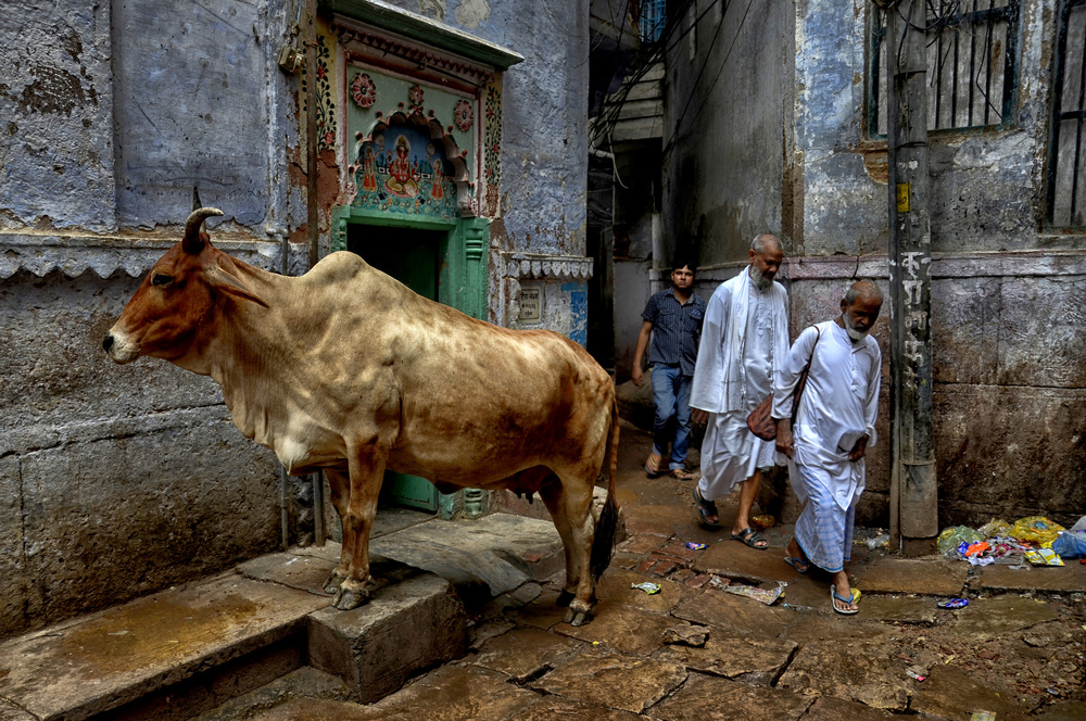 Street of Varanasi von Avishek Das