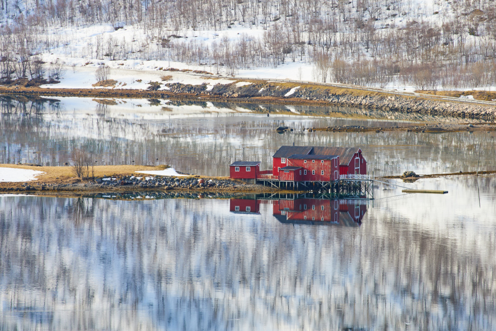 nature silence von Avital Hershkovitz