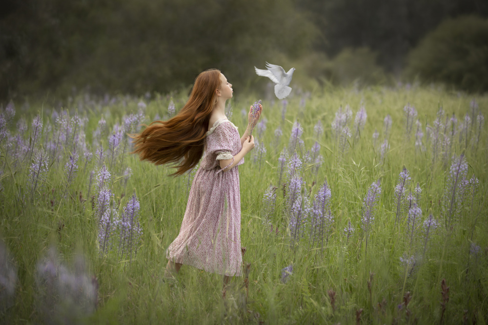 The dove of peace in a green field von AYMAN KHRBAWE