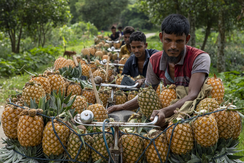 Carrying Pineapple on bicycle von Azim Khan Ronnie
