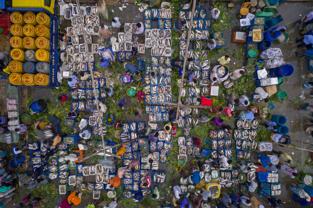 Selling fish von Azim Khan Ronnie