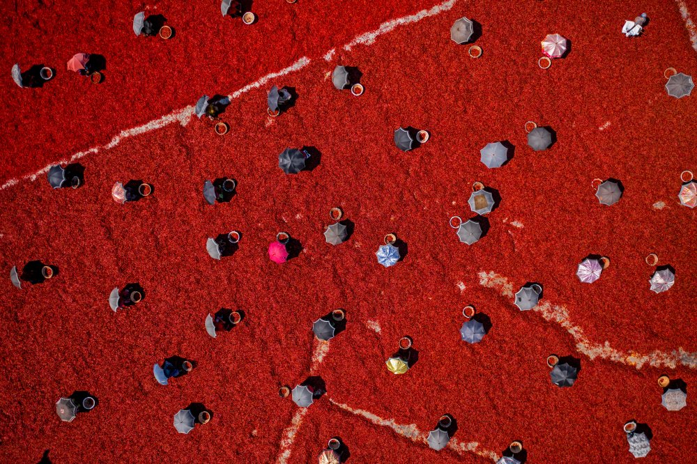 Women on red chilies von Azim Khan Ronnie