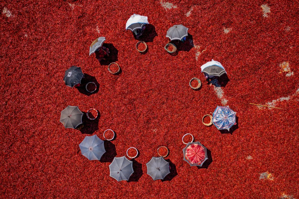 Circle in red chilies von Azim Khan Ronnie