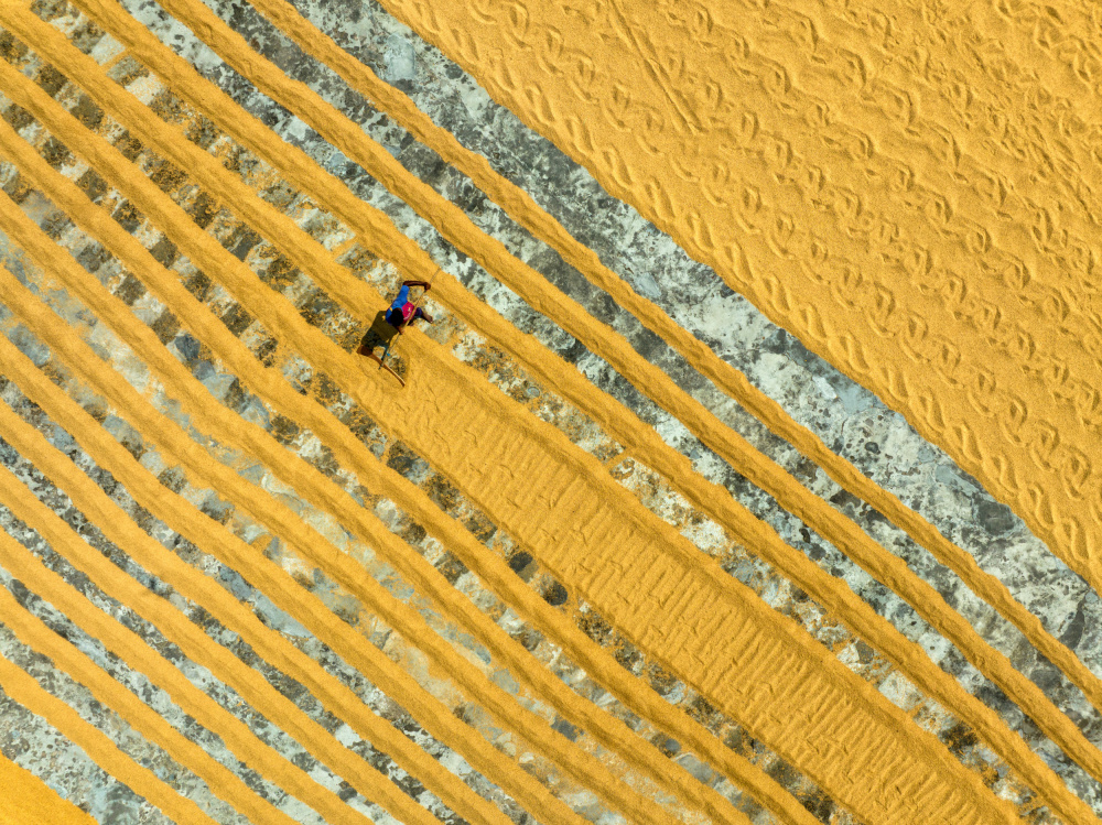 Pattern in the rice drying field von Azim Khan Ronnie