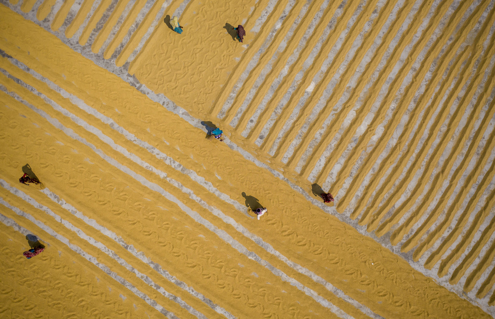 Paddy workers von Azim Khan Ronnie