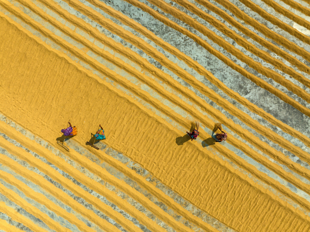 Rice lines von Azim Khan Ronnie