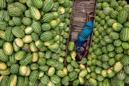 Sleeping on watermelon boats