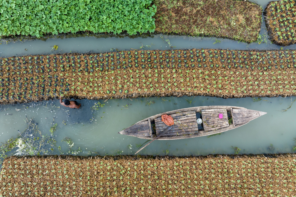 Floating farming von Azim Khan Ronnie