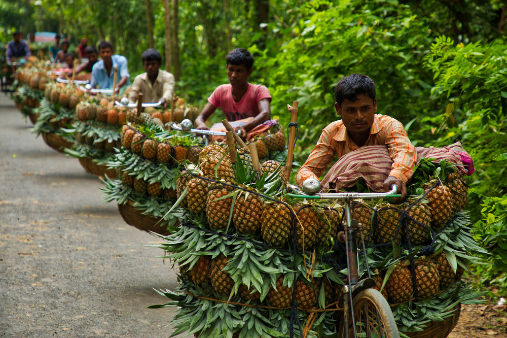 Transporting pineapples von Azim Khan Ronnie
