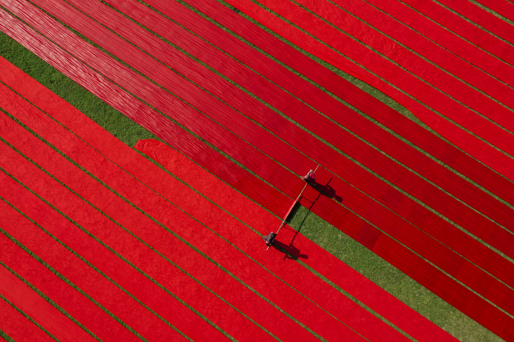 Drying fabrics von Azim Khan Ronnie