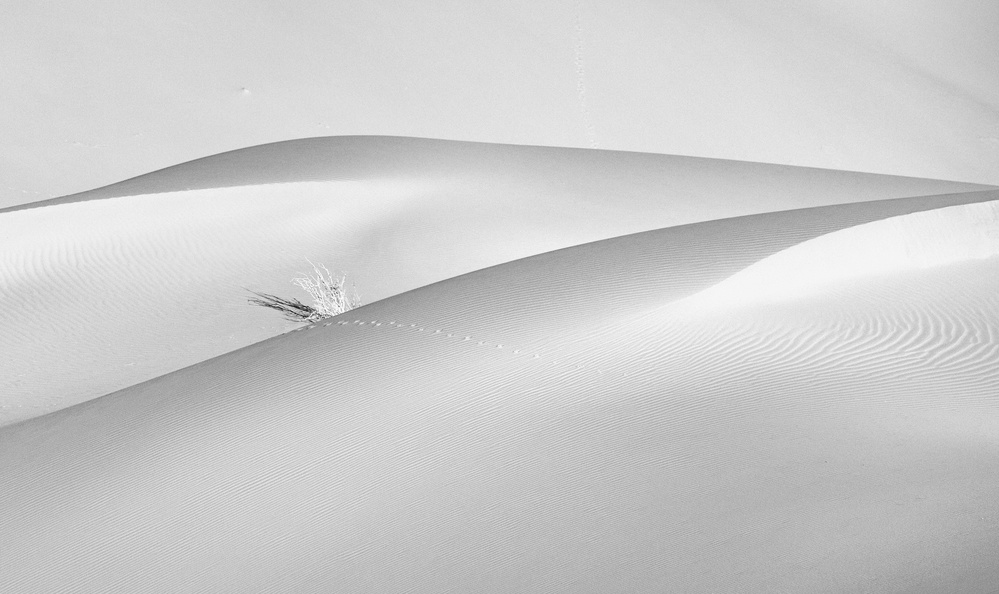 Passage of dreams von Babak Mehrafshar EFIAP (Bob)