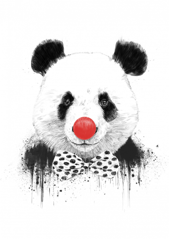Clown panda von Balazs Solti