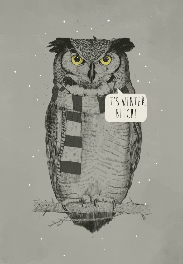 Its winter, bitch! von Balazs Solti