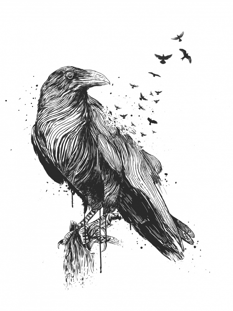 Born to be free von Balazs Solti