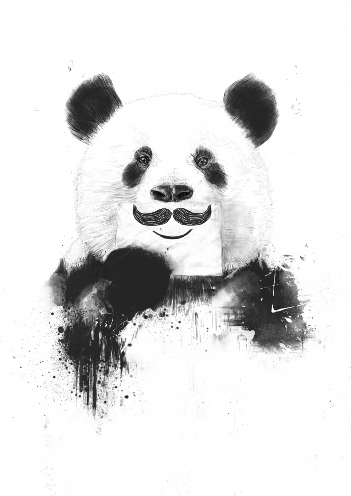 Funny panda von Balazs Solti