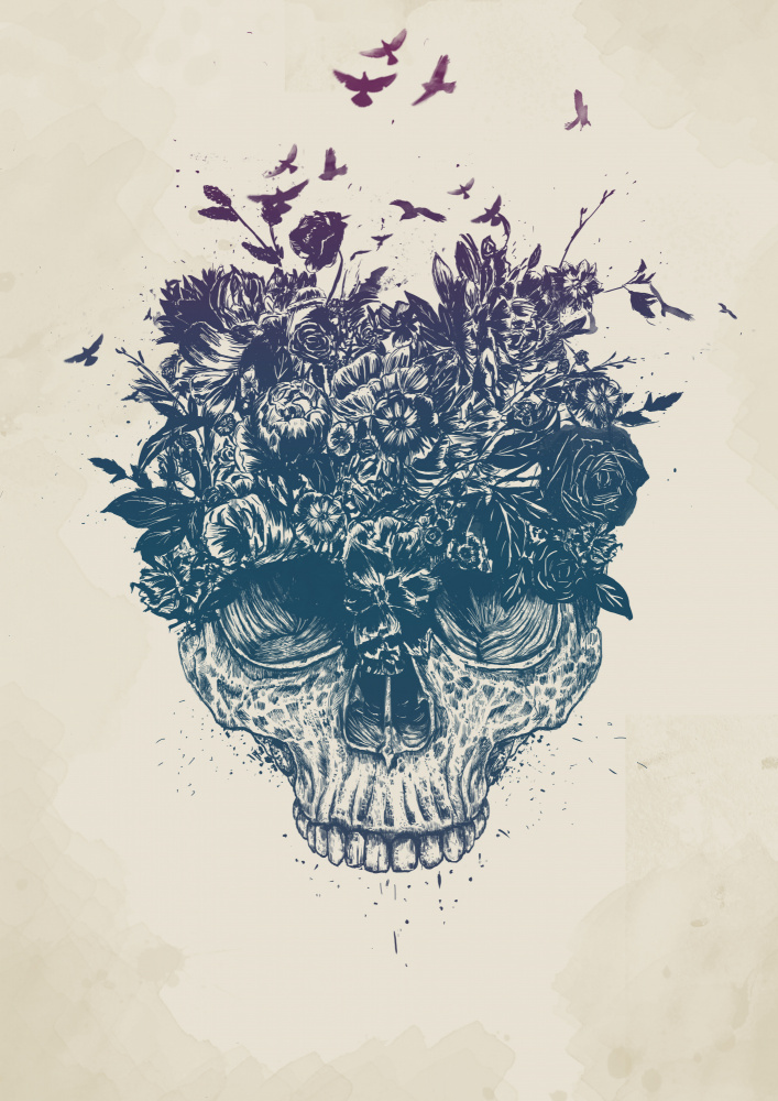 My head is a jungle von Balazs Solti