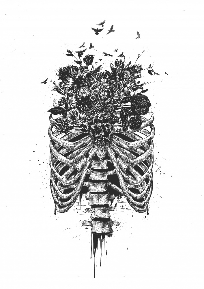 New life von Balazs Solti